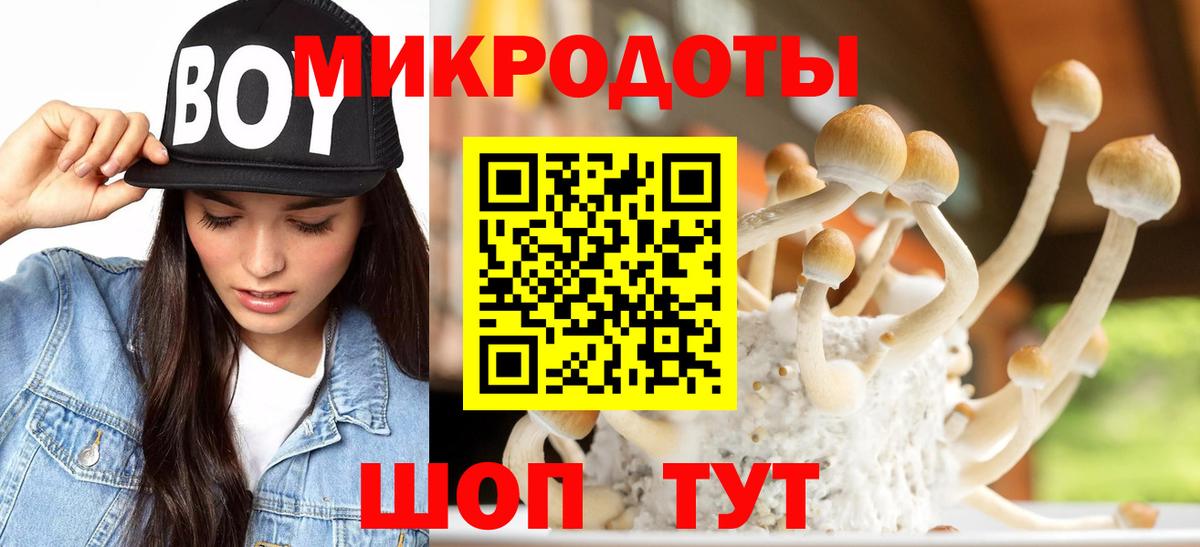 Чита  Псилоцибиновые грибы мухоморы  Вход с VPN  Галлюциногенные грибы прущие грибы 